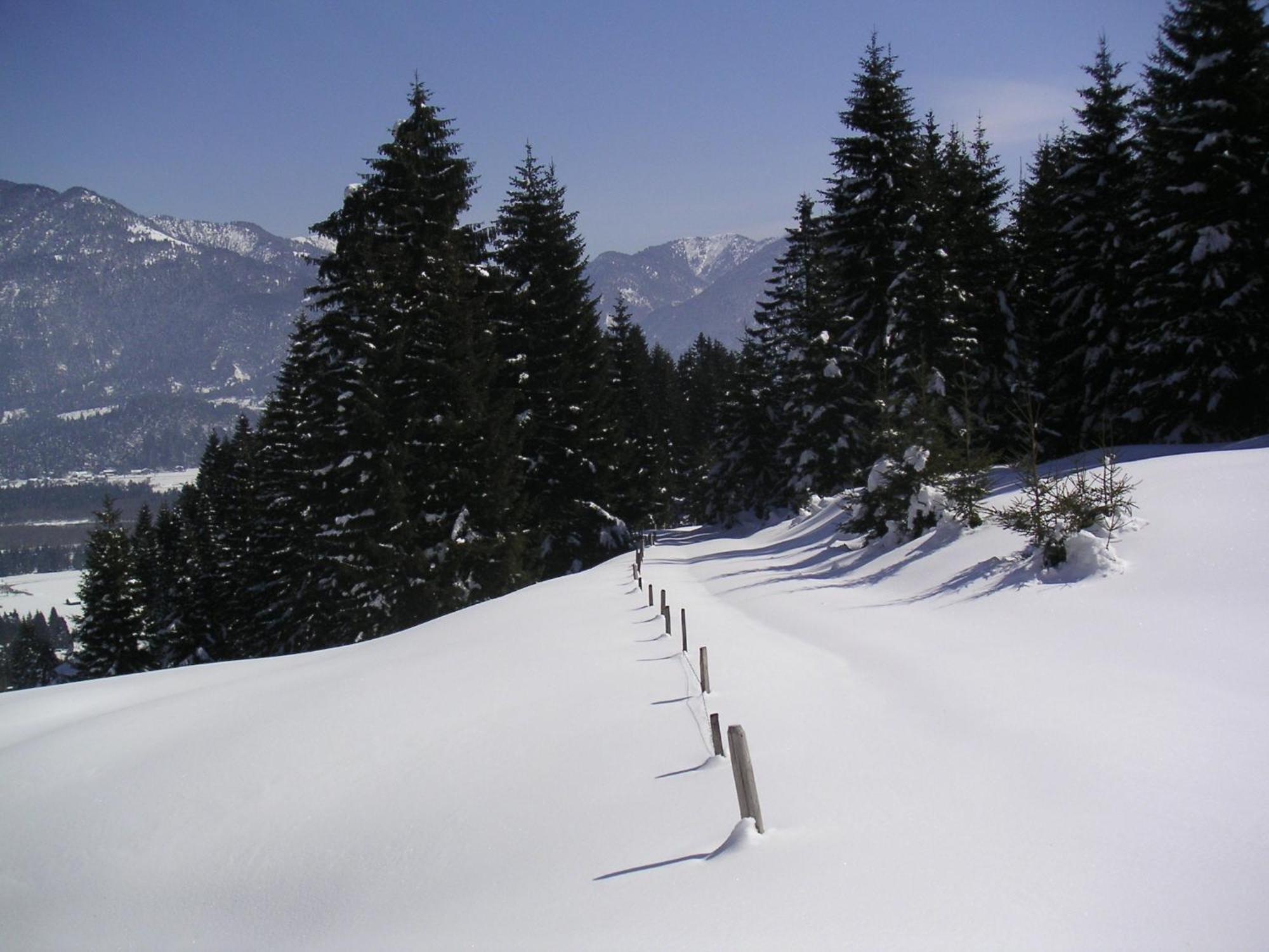 Gintherhof Hotel Reutte Exterior foto