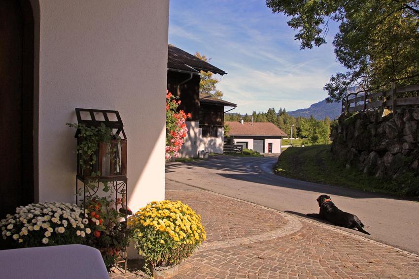 Gintherhof Hotel Reutte Exterior foto